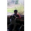Brant dating apps